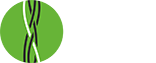Polskie Konsorcjum Szpiczakowe