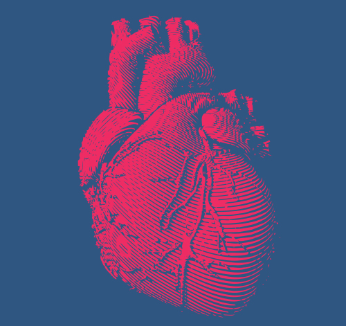 Korzystne wyniki tafamidisu w amyloidozie ATTR serca typu dzikiego