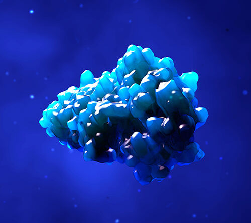 CDR1 pełni kluczową rolę w agregacji łańcuchów lekkich w amyloidozie AL