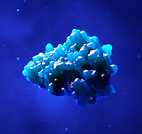 CDR1 pełni kluczową rolę w agregacji łańcuchów lekkich w amyloidozie AL