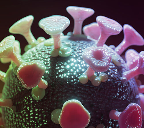 Zalecenia dla chorych na pierwotną amyloidozę łańcuchów lekkich (AL.) w czasie epidemii wirusem SARS-CoV-2 powodującym chorobę COVID-19 na podstawie zaleceń ISA (International Society of Amyloidosis)