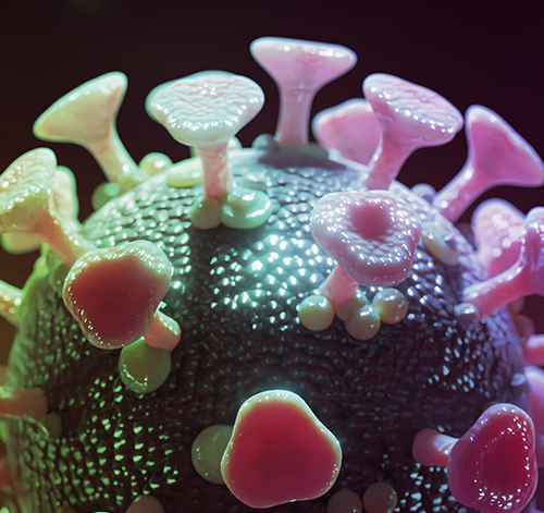 Zalecenia dla chorych na pierwotną amyloidozę łańcuchów lekkich (AL.) w czasie epidemii wirusem SARS-CoV-2 powodującym chorobę COVID-19 na podstawie zaleceń ISA (International Society of Amyloidosis)