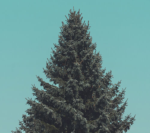 Życzenia Świąteczne