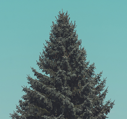 Życzenia Świąteczne