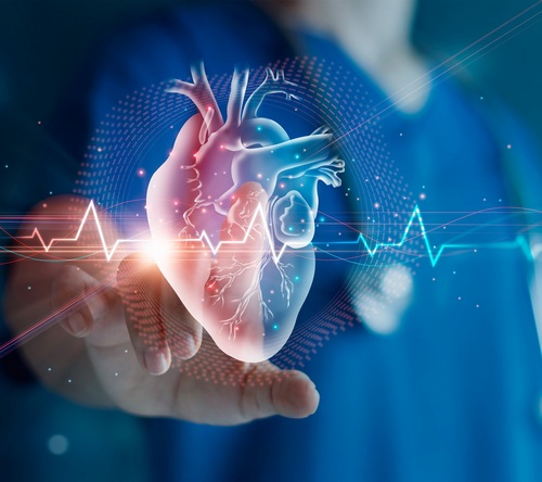 Jak odpowiedź hematologiczna wpływa na odpowiedź sercową u pacjentów z amyloidozą łańcuchów lekkich?