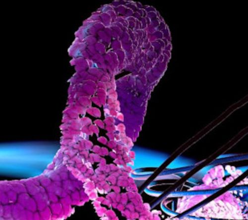 Terapie ukierunkowane na BCMA w leczeniu amyloidozy AL: aktualny stan wiedzy i perspektywy kliniczne