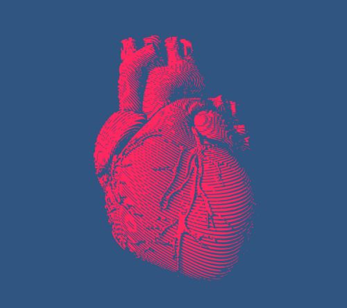 Zapalenie kardiomiocytów u chorych z amyloidozą transtyretynową z zajęciem serca