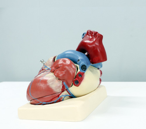 Odległe rokowanie chorych na kardiomiopatię w przebiegu ATTR leczonych tafamidisem