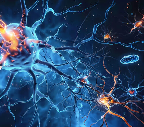 Kiedy i w jakich konstelacjach występują objawy u chorych przed postawieniem diagnozy amyloidozy łańcuchów lekkich?