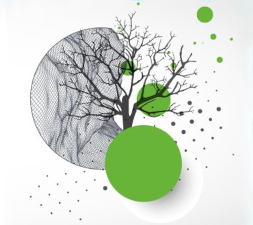 Czy chorzy na amyloidozę AL mają swoją reprezentację? | Łukasz Rokicki, Fundacja Carita im. Wiesławy Adamiec