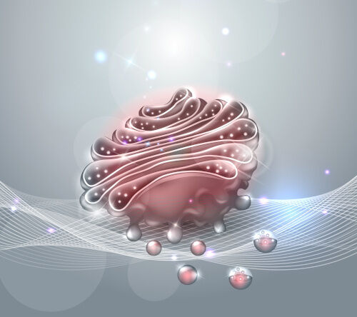 Nowy typ amyloidozy związany z białkiem macierzy zewnątrzkomórkowej zawierającym EGF, podobnym do fibuliny 1 (EFEMP1)