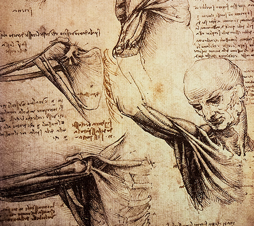 Patologia układu mięśniowo-szkieletowego jako wczesny objaw ostrzegawczy amyloidozy: przegląd systematyczny dotyczący odkładania się złogów amyloidu i chirurgii ortopedycznej