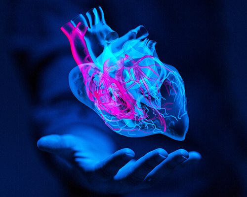 Epidemiologia amyloidozy serca – przegląd systematyczny i metaanaliza dotychczasowych badań