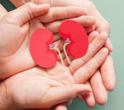 Wyniki przeszczepienia nerki u pacjentów chorych na amyloidozę