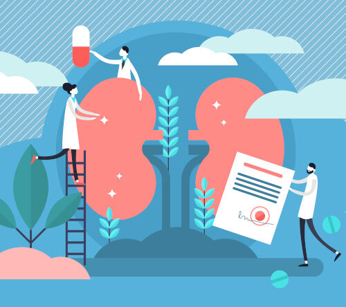 Odległe wyniki przeszczepienia nerki u pacjentów z amyloidozą łańcuchów lekkich – dane z Mayo Clinic