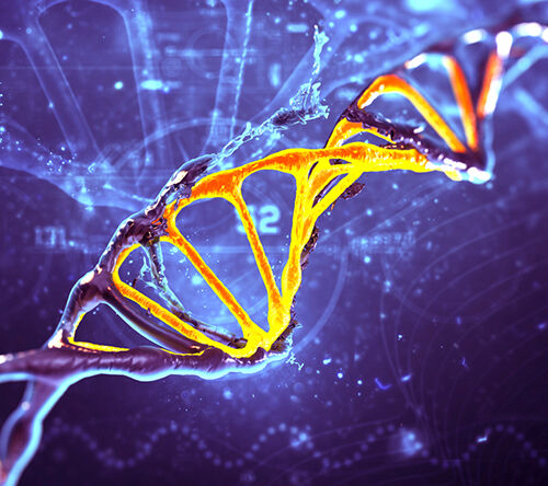 Amyloidoza transtyretynowa – o chorobie