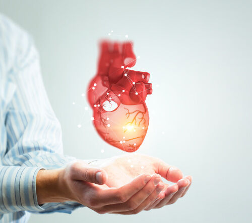 Transplantacja wyłącznie serca czy w połączeniu z przeszczepieniem wątroby lub nerek – możliwe opcje leczenia dla wybranych pacjentów z ciężką postacią amyloidozy serca